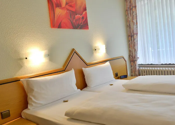 Hotel Land-gut-hotel Zur Post 3*