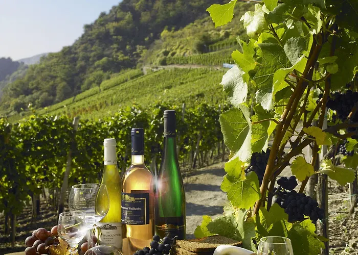 Land-gut-hotel Zur Post Altenahr